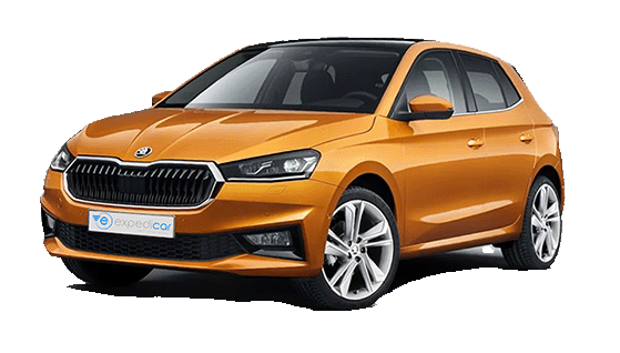 Skoda Fabia automata sau similar